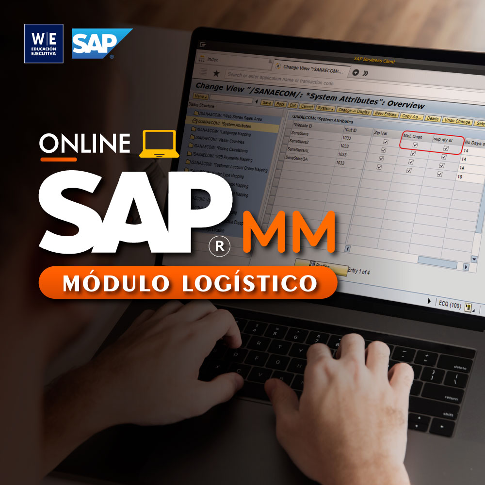 SAP MM - Curso Online 